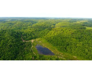 Property photo 96 - LAND AUCTION - 1,050+/- ACRES OFFERED IN 21 TRACTS PLUS 450+/- ACRE HUNTING LEASE IN MUSKINGUM COUNTY, OHIO